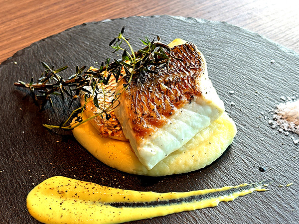 Red sea bream